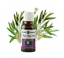 Tea Tree Oil